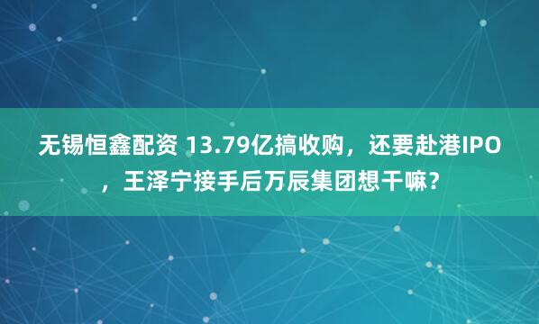 无锡恒鑫配资 13.79亿搞收购，还要赴港IPO，王泽宁接手后万辰集团想干嘛？