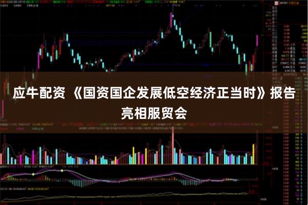 应牛配资 《国资国企发展低空经济正当时》报告亮相服贸会